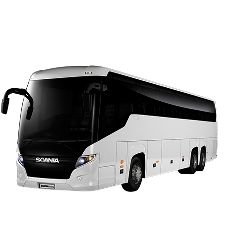 Coach